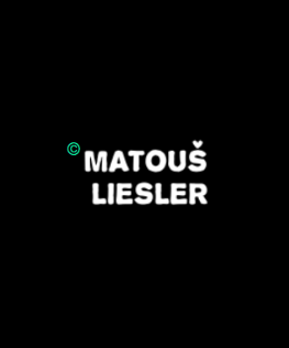 logo Liesler